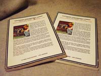 VWPerformanceTuning - 2