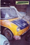 fridolin 1973 01